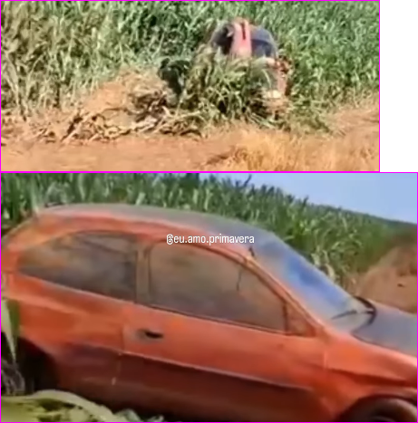 Veículo sai da pista em estrada vicinal de Primavera do Leste e para em lavoura de milho